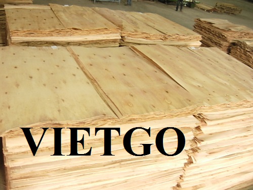 Cơ hội xuất khẩu ván bóc sang thị trường Trung Quốc