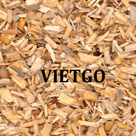 Cơ hội xuất khẩu gỗ vụn bạch đàn sang thị trường Ấn Độ