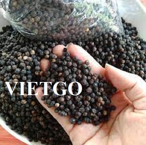 Cơ hội xuất khẩu Tiêu đen hàng tháng cho một công ty kinh doanh các loại gia vị tại Yemen