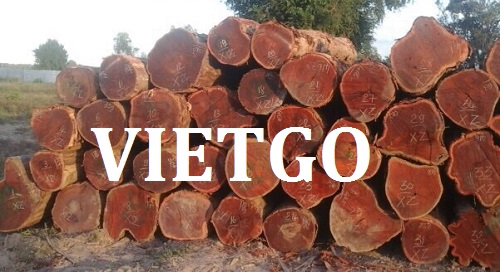 Cơ hội xuất khẩu gỗ căm xe tròn sang thị trường Ấn Độ