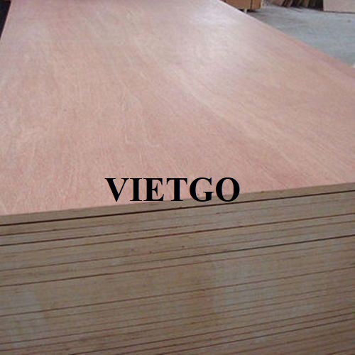 Cơ hội xuất khẩu gỗ dán đóng gói bao bì sang thị trường Ấn Độ
