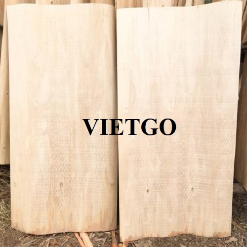 Cơ hội xuất khẩu 20 container 20ft ván bóc lõi gỗ bạch đàn mỗi tháng sang thị trường Ấn Độ