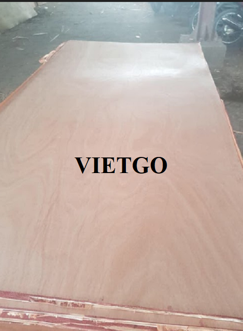 Cơ hội xuất khẩu gỗ dán sang thị trường Mayotte