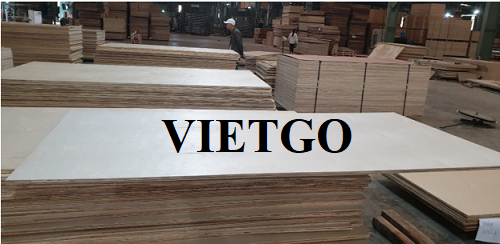 Cơ hội xuất khẩu 2 container 40ft gỗ dán hàng tháng sang thị trường Ấn Độ