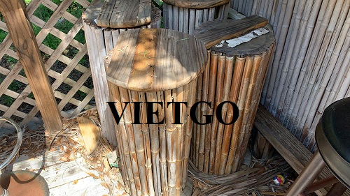 Cơ hội xuất khẩu 1 container 20ft gậy tre sang thị trường Mỹ