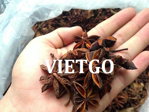 Cơ hội xuất khẩu hoa hồi cho vị khách hàng đến từ Singapore