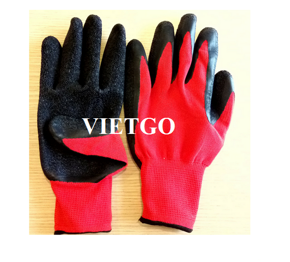 Cơ hội xuất khẩu sản phẩm găng tay vải số lượng lớn hàng tháng sang thị trường Georgia