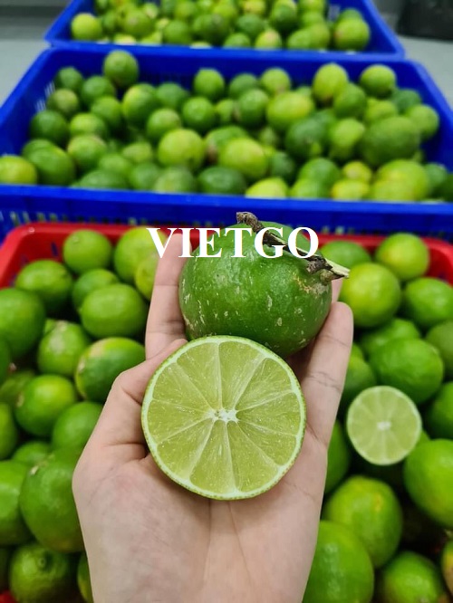 Cơ hội xuất khẩu Chanh xanh sang thị trường Oman