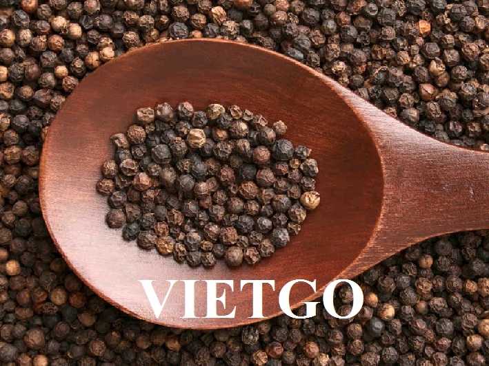 Cơ hội xuất khẩu Tiêu đen cho vị khách hàng đến từ Ấn Độ