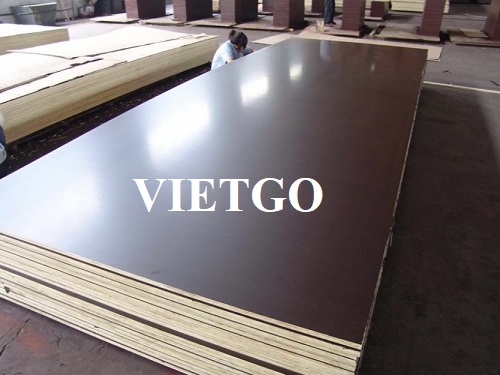 Cơ hội xuất khẩu 20 container 40’HC gỗ dán phủ phim hàng tháng sang thị trường  Ấn Độ