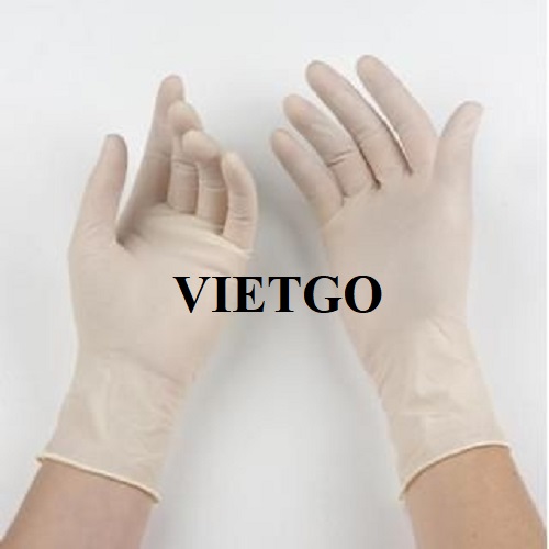 Cơ hội xuất khẩu găng tay cao su y tế cho vị khách hàng đến từ Ấn Độ