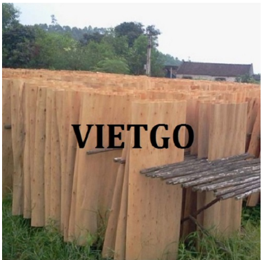 Cơ hội xuất khẩu ván bóc lõi gỗ bạch đàn sang thị trường Ấn Độ