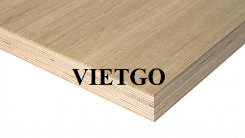 (Gấp) Cơ hội xuất khẩu gỗ dán sang thị trường Mỹ