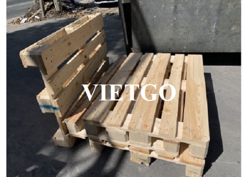 Thương nhân người Thổ Nhĩ Kỳ cần nhập khẩu 25.000 chiếc pallet gỗ hàng tháng sang thị trường Đức