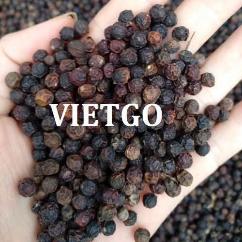 Cơ hội xuất khẩu tiêu đen sang thị trường Ấn Độ