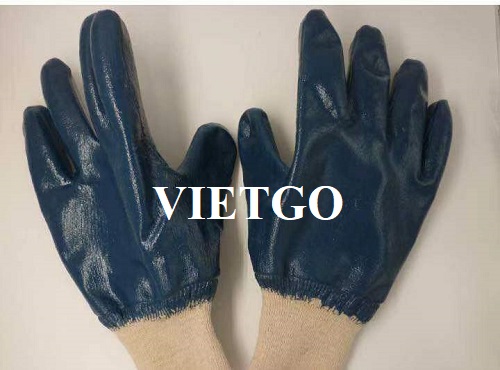 Cơ hội xuất khẩu găng tay lao động sang thị trường Ấn Độ