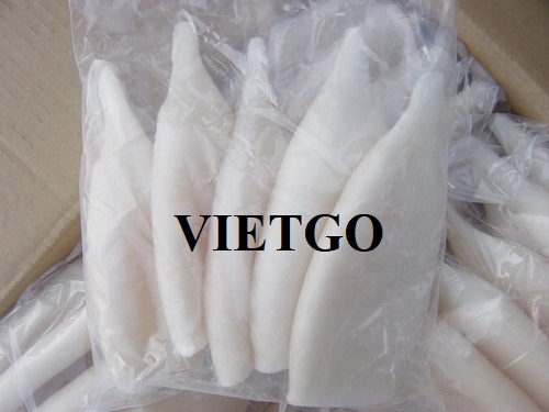 Cơ hội cung cấp mực đông lạnh cho một công ty kinh doanh thực phẩm lớn của Nga