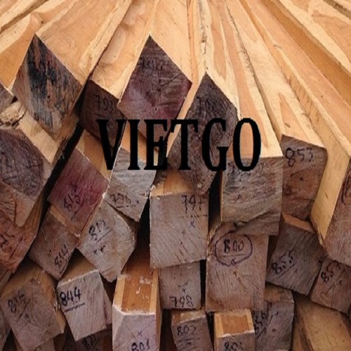Cơ hội xuất khẩu 4 container 20ft gỗ teak xẻ hàng tháng sang thị trường Bangladesh
