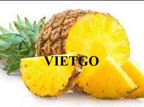 (Gấp) Cơ hội xuất khẩu Dứa tươi sang thị trường UAE