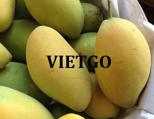 Cơ hội xuất khẩu xoài tươi sang thị trường Pháp