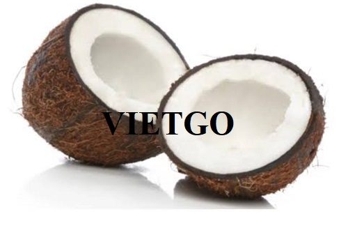 Cơ hội xuất khẩu Dừa lột vỏ sang thị trường Dubai