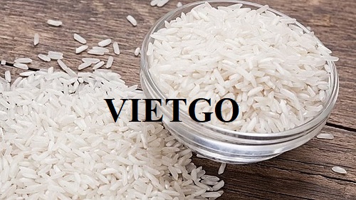 Cơ hội xuất khẩu 25 tấn gạo nhài hàng tháng sang thị trường Bỉ