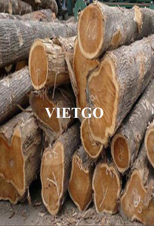 Cơ hội xuất khẩu gỗ teak tròn sang thị trường Ấn Độ