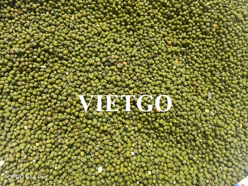 Cơ hội xuất khẩu đậu xanh sang thị trường Bangladesh