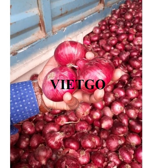 Cơ hội xuất khẩu 3 container 40ft hành tím hàng tuần sang thị trường Sri Lanka