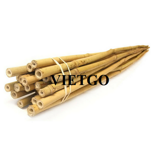 Cơ hội cung cấp gậy tre cho một công ty tổ chức sự kiện tại Ukraine