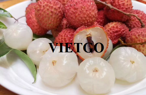 Cơ hội xuất khẩu quả Vải hàng tháng sang thị trường Canada