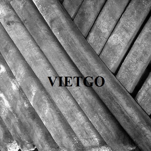 Cơ hội cung cấp than tre cho vị khách hàng đến từ Ai Cập