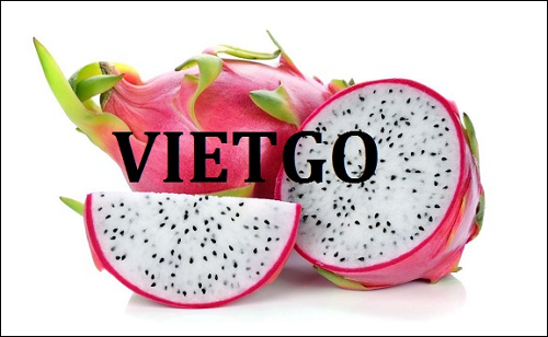 Cơ hội xuất khẩu thanh long sang thị trường Ai Cập