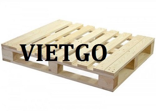 Cơ hội xuất khẩu 1000 chiếc pallet gỗ hàng tháng cho một doanh nghiệp tại thị trường Mỹ  ​
