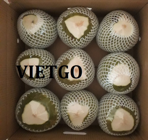 Cơ hội xuất khẩu Dừa tươi sang thị trường Dubai và Ả rập Xê út