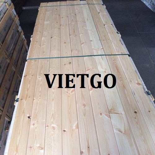 Cơ hội xuất khẩu 10 container 40ft gỗ thông xẻ hàng tháng sang thị trường Singapore