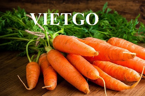 Cơ hội xuất khẩu Cà rốt hàng tháng sang thị trường Côte d’Ivoire