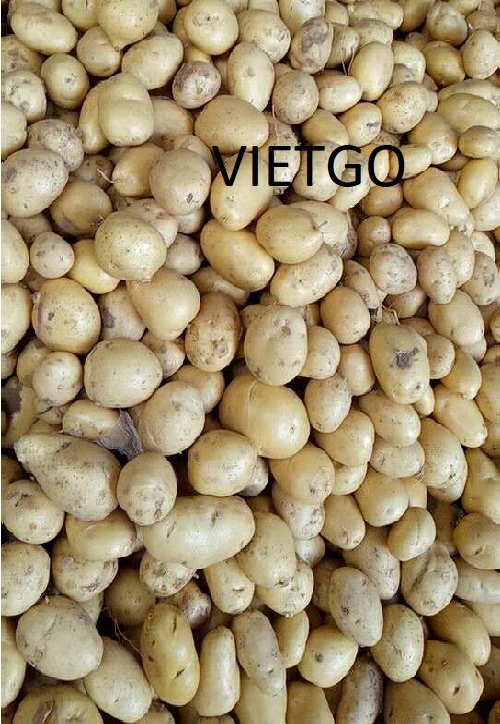 Cơ hội xuất khẩu khoai tây sang thị trường Benin