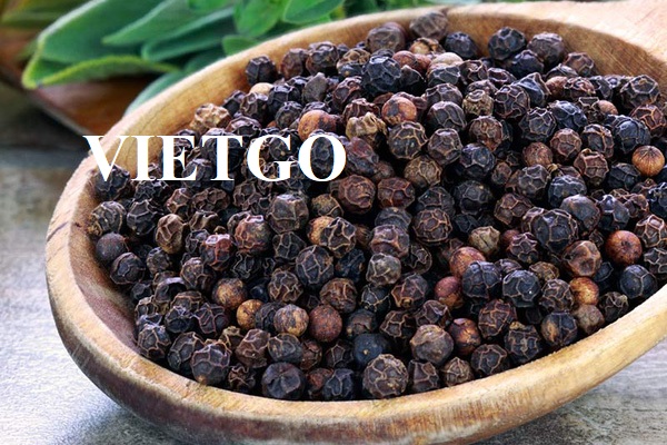 Cơ hội xuất khẩu Tiêu đen hàng tháng sang thị trường Ấn Độ