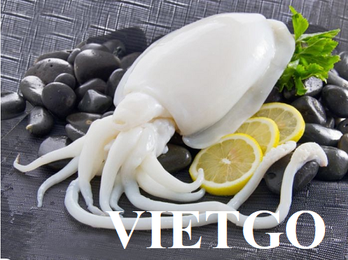 (Gấp) Cơ hội xuất khẩu mực nang sang thị trường Ấn Độ