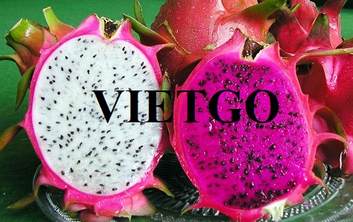 Cơ hội xuất khẩu thanh long hàng tháng sang thị trường Ả Rập Xê-út