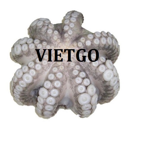 Cơ hội xuất khẩu bạch tuộc đông lạnh sang thị trường Mỹ