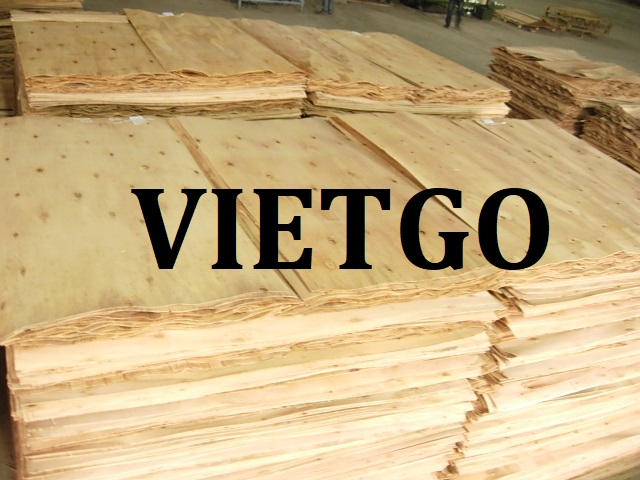 Cơ hội xuất khẩu ván bóc sang thị trường Colombia