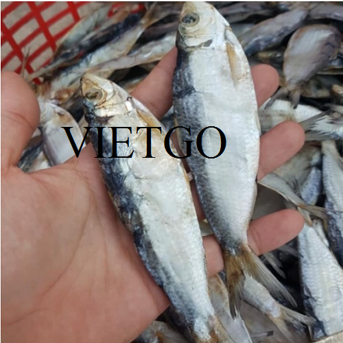 Cơ hội xuất khẩu 3 container 20ft cá trích khô sang thị trường Hàn Quốc
