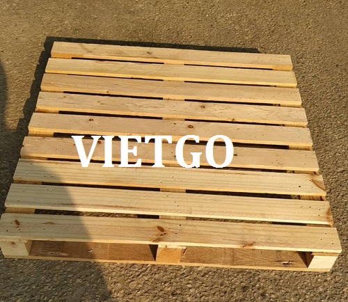 Cơ hội xuất khẩu pallet gỗ thông sang thị trường Singapore
