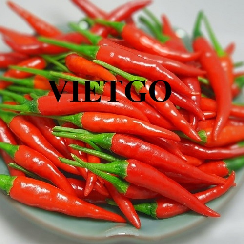 Cơ hội xuất khẩu Ớt tươi cho một doanh nghiệp kinh doanh các loại gia vị tại Oman