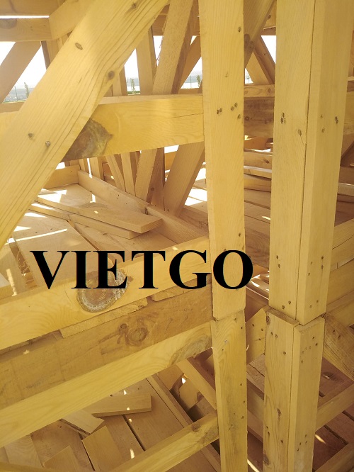 Thương nhân người Thổ Nhĩ Kỳ cần nhập khẩu 6 container 20ft gỗ thông xẻ cho dự án sản xuất pallet