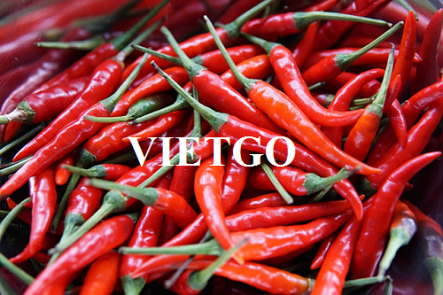 Cơ hội xuất khẩu Ớt tươi sang thị trường Nga
