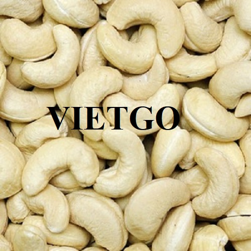 Cơ hội xuất khẩu 100 tấn hạt điều hàng tháng cho một CEO người Mỹ sang thị trường Thổ Nhĩ Kỳ