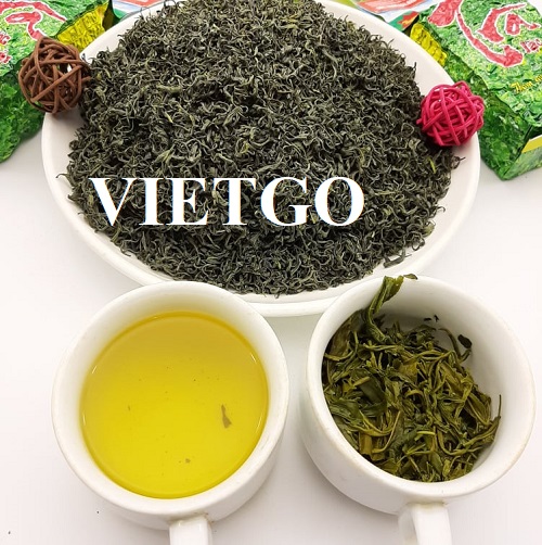 Cơ hội xuất khẩu Chè xanh sang Vương quốc Anh